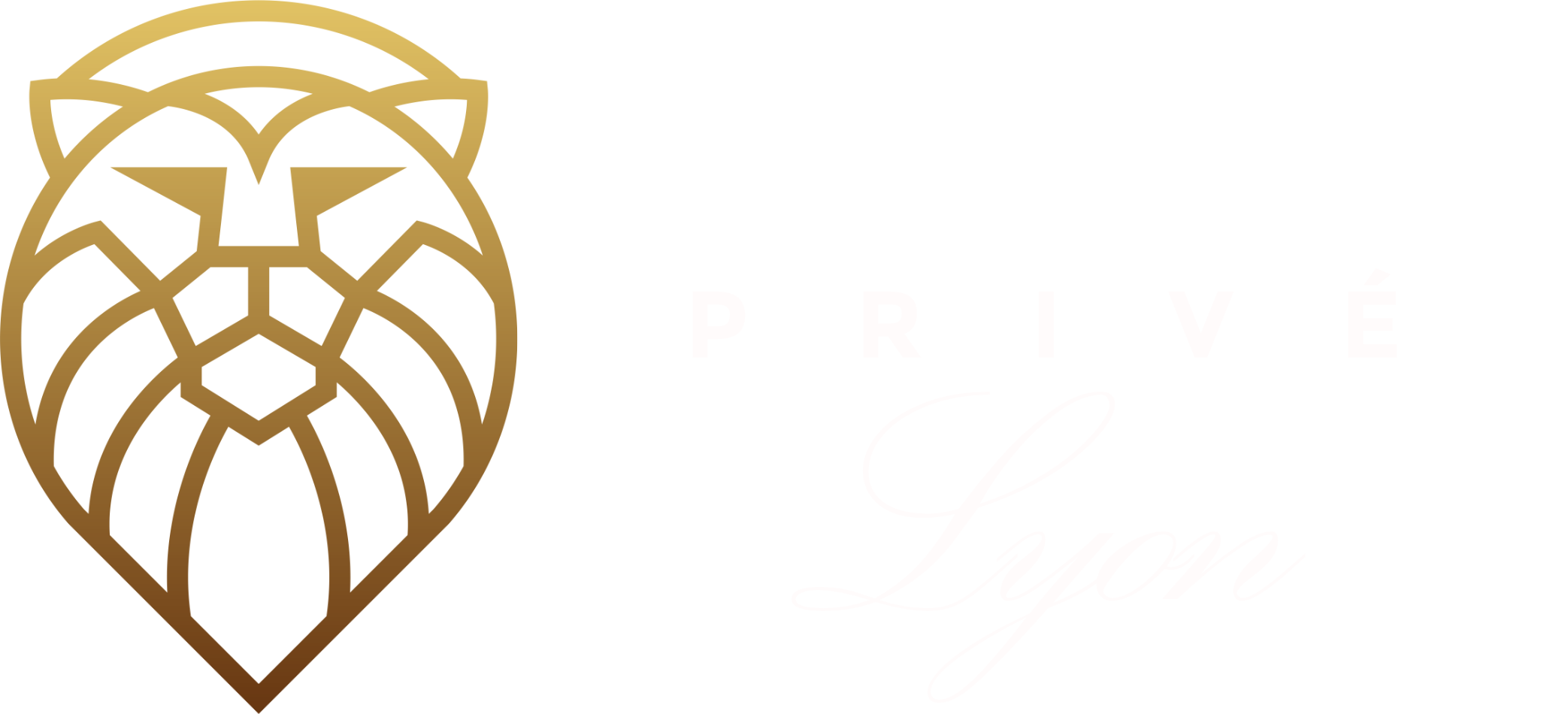 CPLY | Réservation de chauffeur privé à Lyon